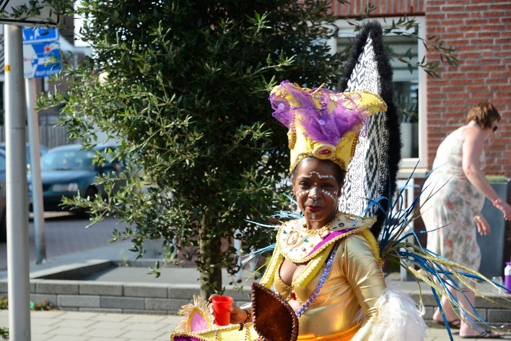 ../Images/Zomercarnaval Noordwijkerhout 2016 116.jpg